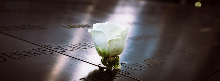 flower on a grave